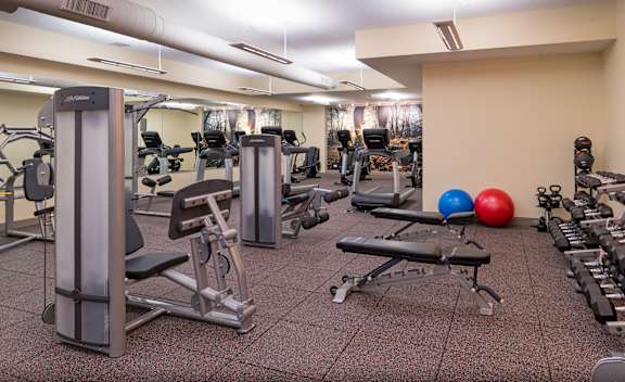 A gym with a variety of equipment including weights and a bench.