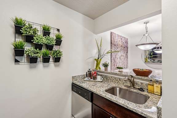 A kitchen with a sink and a wall of plants.