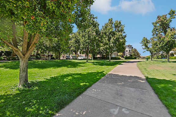 A tree with green leaves is on the left side of a concrete walkway.