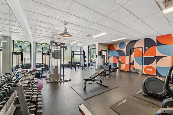 A gym with a variety of equipment including treadmills, weights, and exercise machines.