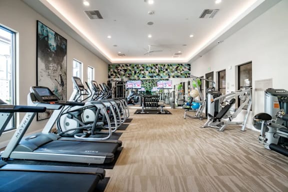 A gym with treadmills, weights, and exercise equipment.