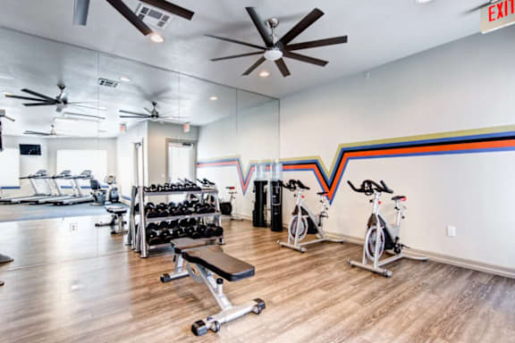 A gym with a row of stationary bikes and a bench.