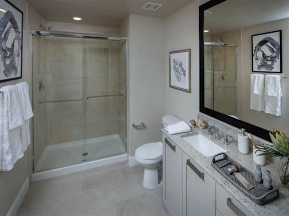 A bathroom with a white toilet, a sink, a mirror, and a shower.