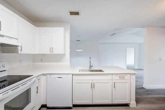 A white kitchen with a dishwasher and a sink.