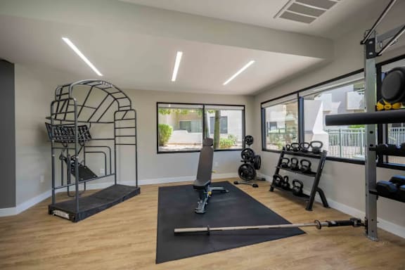 A well-equipped home gym with a variety of exercise equipment.