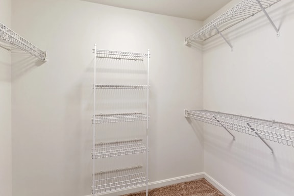 A white closet with three shelves and a carpeted floor.