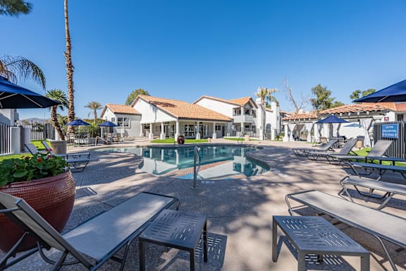 A pool area with sun loungers and a palm tree.