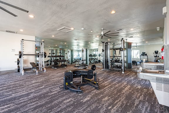 A gym with a variety of equipment including a treadmill, weights, and a bench press.