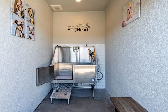 A room with a dog grooming table and pictures of dogs on the wall.