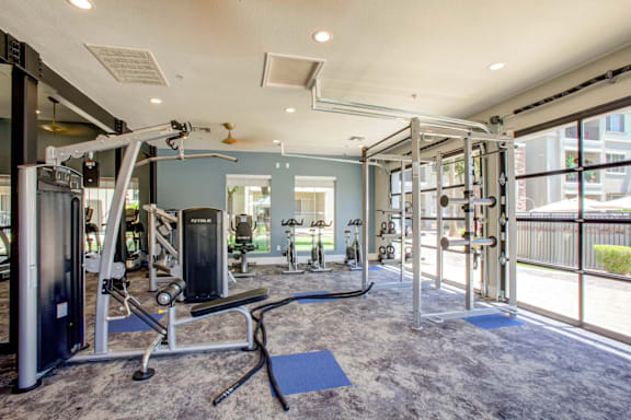 A gym with a variety of equipment including a squat rack, bench press, and a rowing machine.