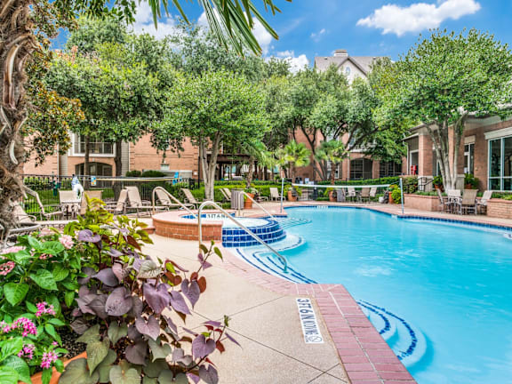 A pool surrounded by trees and plants.