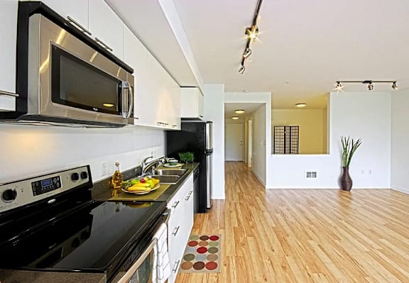A modern kitchen with a black stove top oven and a black microwave above it.