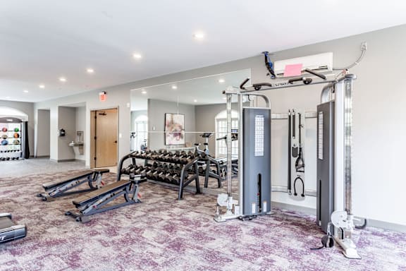 A gym with a variety of equipment including a treadmill, weights, and a bench press.