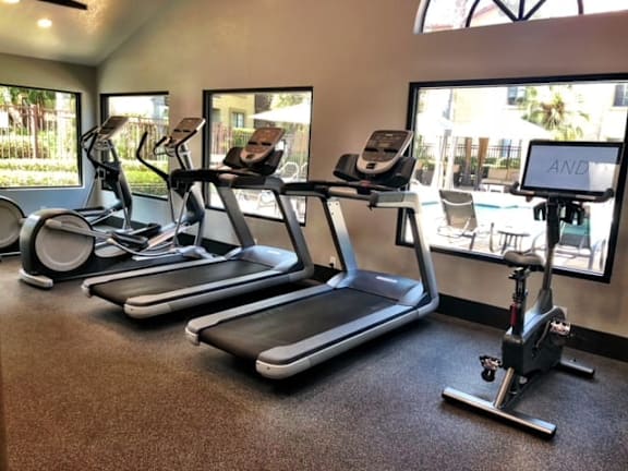 A gym with treadmills, elliptical machines, and a weight machine.