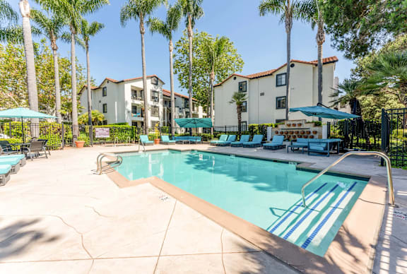 A swimming pool surrounded by palm trees and lounge chairs.