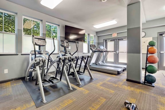A gym with treadmills, exercise bikes, and weights.