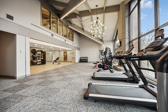 A gym with treadmills and exercise equipment.