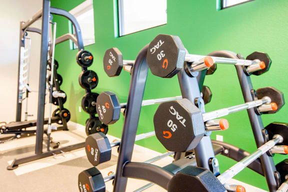 A set of dumbbells are on a rack in a gym.