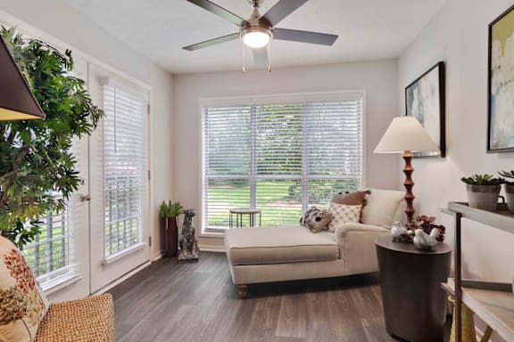 A living room with a couch, a plant, and a ceiling fan.