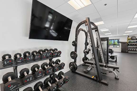 A gym with a row of dumbbells and a bench press.