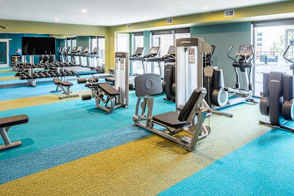 A gym with a variety of equipment including treadmills, weights, and benches.