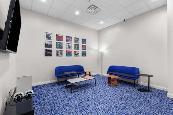 Media & Entertainment Room