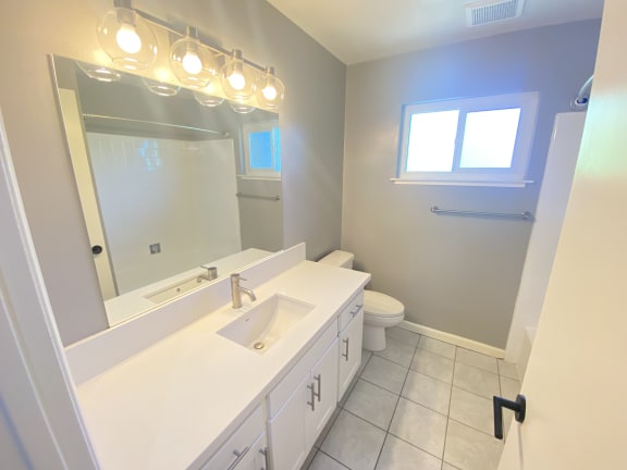 a bathroom with a sink and a mirror and a toilet