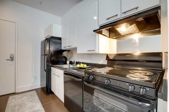 Two kitchen finish options at Lex and Leo at Waterfront Station in Southwest Waterfront in Washington DC 20024