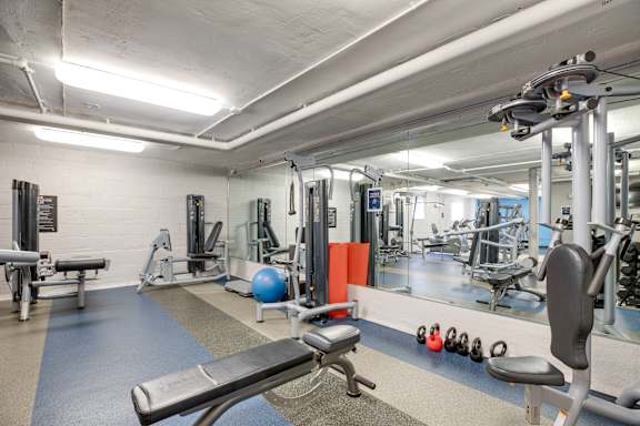 A gym with a variety of equipment including a bench, weights, and a mirror.