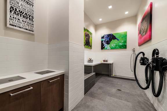 Pet spa wash station at Valo Apartments in Southwest Waterfront, Washington, DC 20024