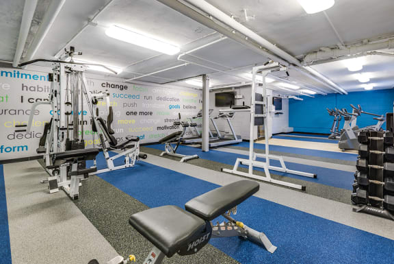 Fitness center with treadmills, machines and free weights