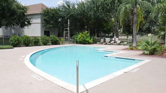 A small pool surrounded by trees and plants.