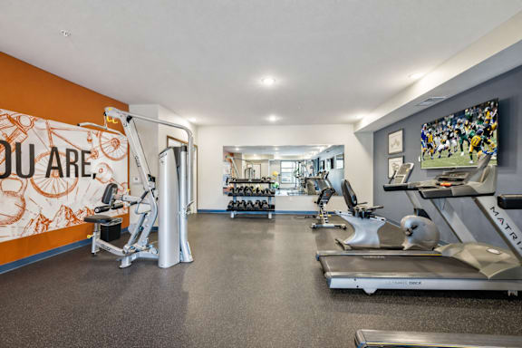 A gym with treadmills, weights, and exercise equipment.