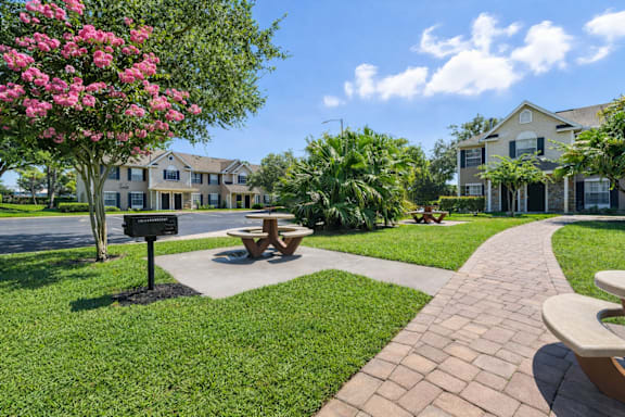 A park area with a bench and a tree with pink flowers. at Waterbridge Apartments , Orlando, FL, 32837