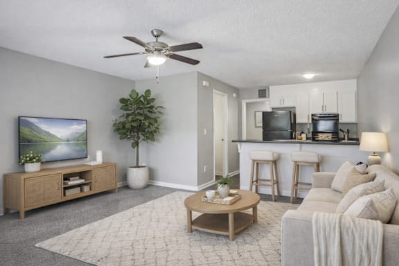 A living room with a flat screen TV, a coffee table, and a couch.