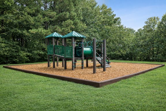 Playground at Linden Ridge Apartments, Georgia