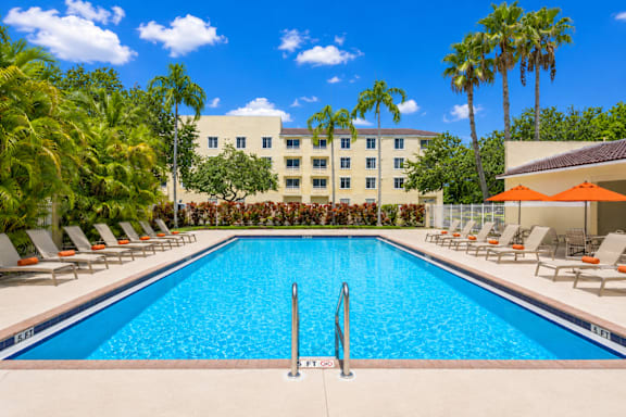 A large swimming pool surrounded by lounge chairs and palm trees.
