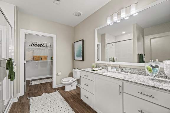A bathroom with a white toilet, sink, and a mirror at 1010 Dilworth Apartments, Charlotte, NC, 28204