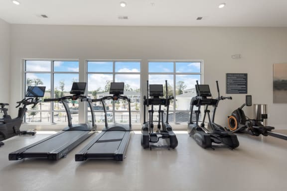 the gym with treadmills and ellipticals at the preserve at great pond apartments at Bristol at New Riverside, South Carolina