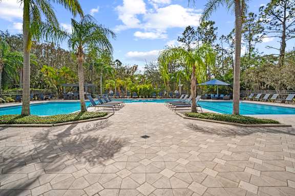 A large swimming pool surrounded by palm trees and a stone patio.