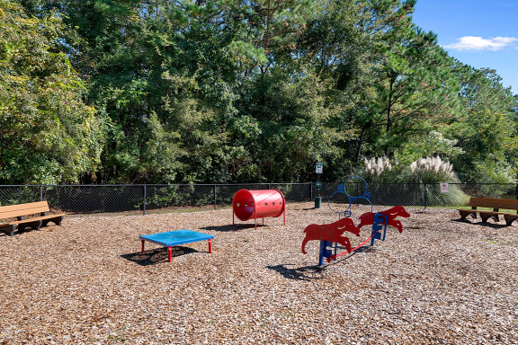 a dog park with a agility equipment