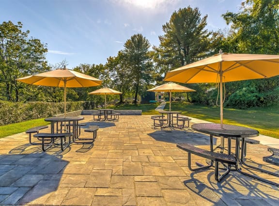 Patio Umbrellas at Falls Village Apartments, Baltimore