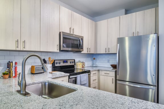 Upgraded Countertops in kitchen at The Six, South Carolina, 29466