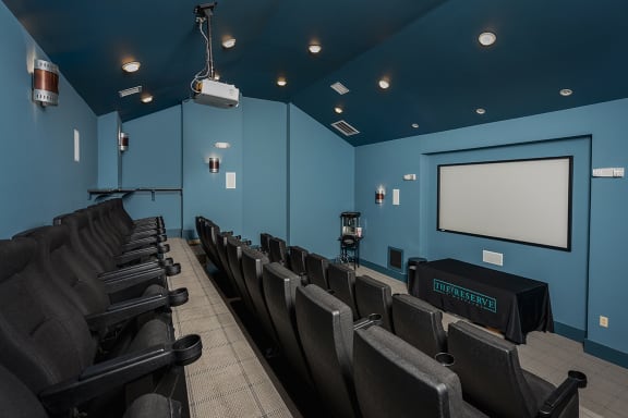 Community Theater Room at The   Reserve at Mayfaire Apartments, Wilmington NC