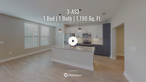 A video thumbnail showing a kitchen and living room of a 1 bedroom, 1 bathroom apartment sized at 1,190 square feet.
