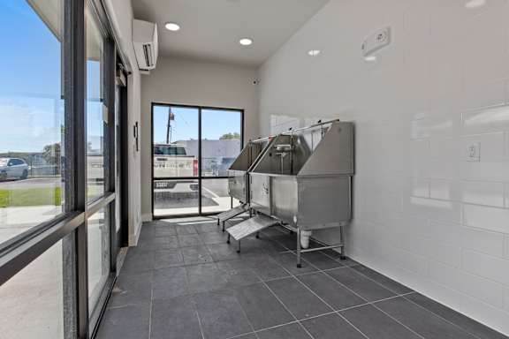 a kitchen with a stainless steel sink and a window