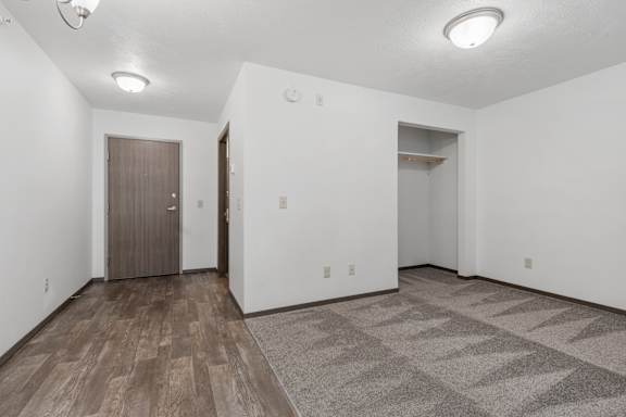 A room with a brown door and a grey carpet.