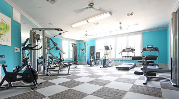 Two Level Fitness Center at Heights West 11th, Texas