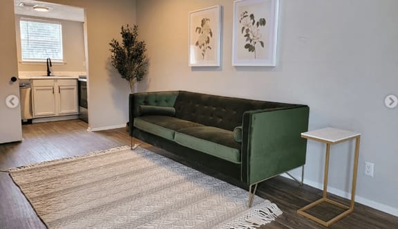 a living room with a green couch and a rug at Ivy Plains at Brooks Apartments, San Antonio , TX