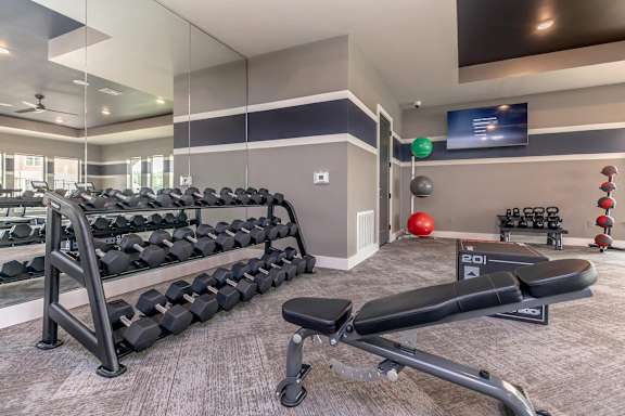 A gym with a variety of equipment including dumbbells, a bench press, and a television.